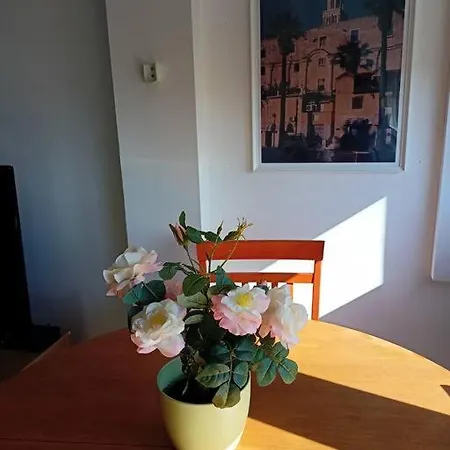 Apartment Summer *